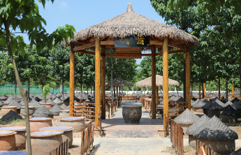 酱缸里的时间魔法：一棵成武芥菜的共富生态革命