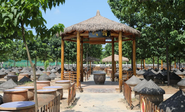 酱缸里的时间魔法：一棵成武芥菜的共富生态革命