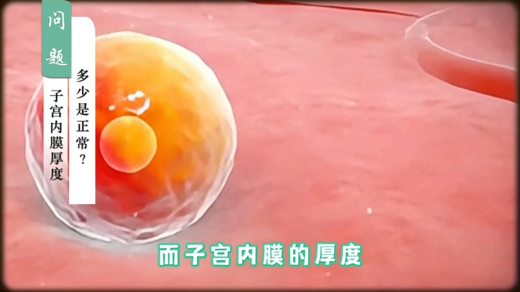 红绘医生说丨子宫内膜厚度多少是正常？