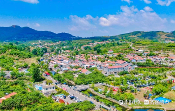 80后姑娘如何回村年入百万？青岛这一片区振兴妙招藏着答案
