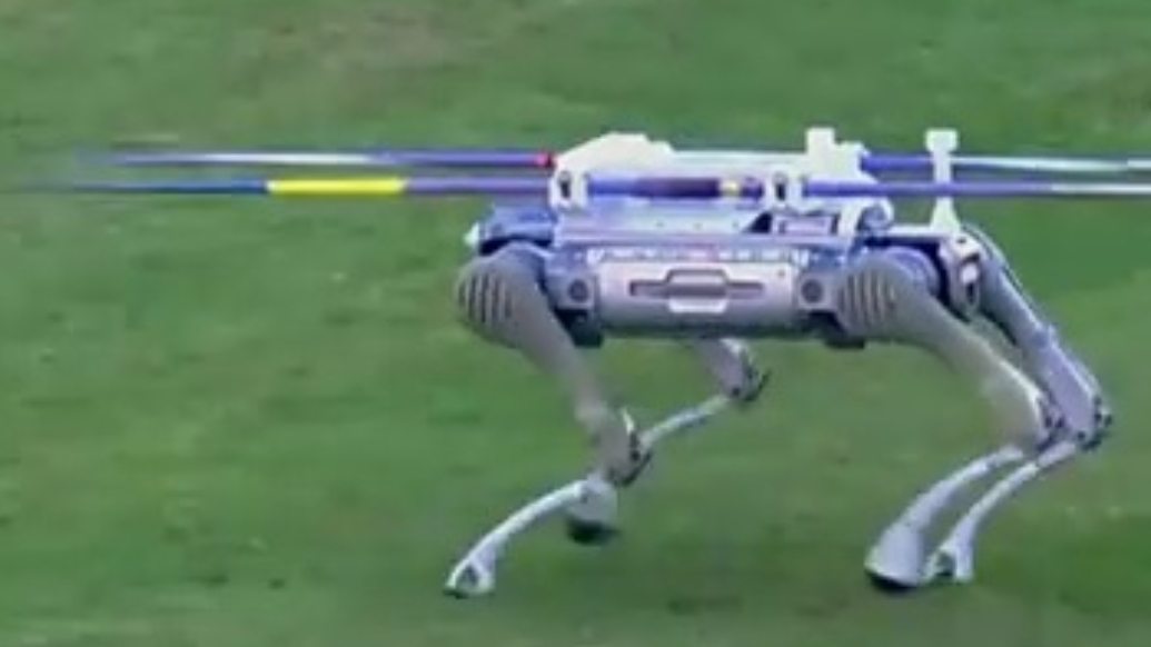 全运会田径赛场迎来最萌“搬运工”，机器狗驮着标枪铁饼跑着送回点位