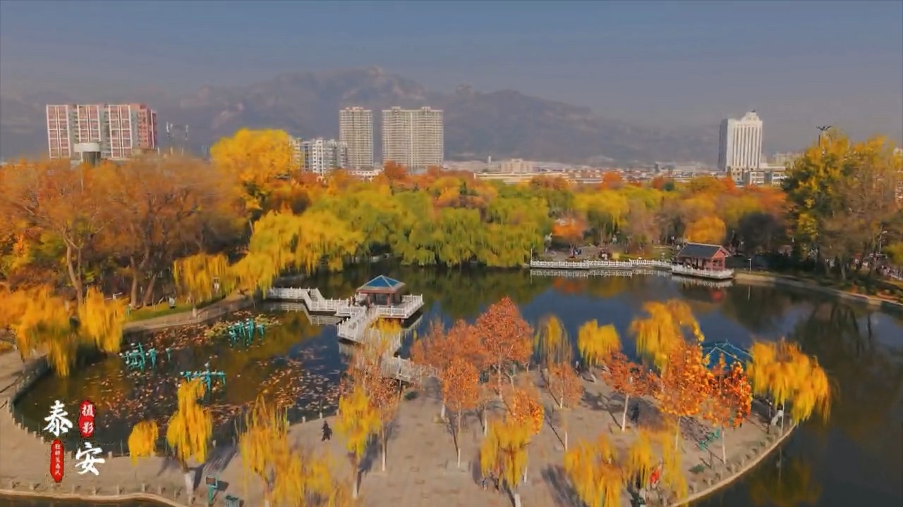 泰安东湖公园的初冬美如画.独醉笑春风