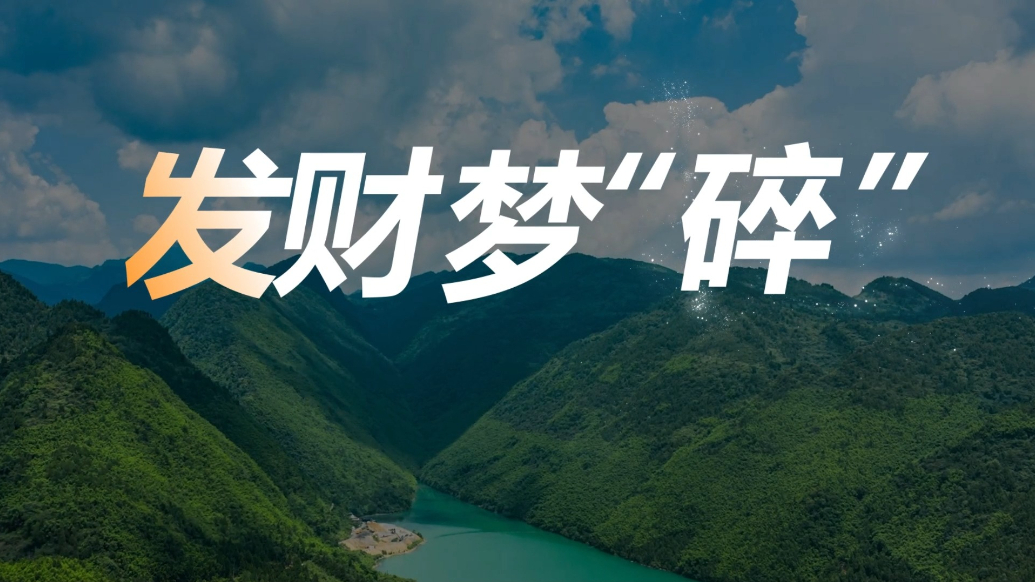 中国银行消保视界｜发财梦碎