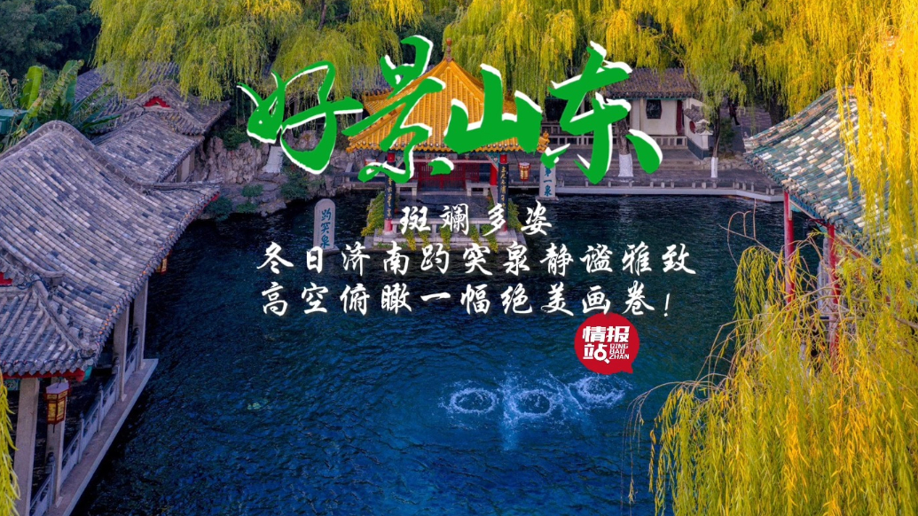 果然视频·好景山东|冬日济南趵突泉静谧雅致，俯瞰一幅绝美画卷