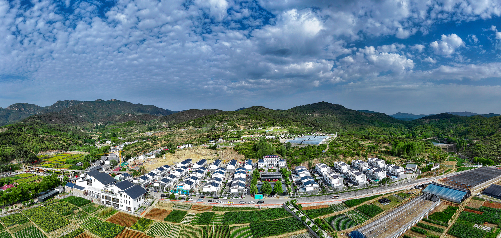 雪野片区用“球场战术”，给出乡村联动良方、激活全域合力