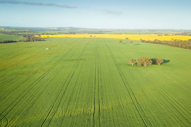山东省农业农村厅印发《全省小麦冬春管理技术指导意见》