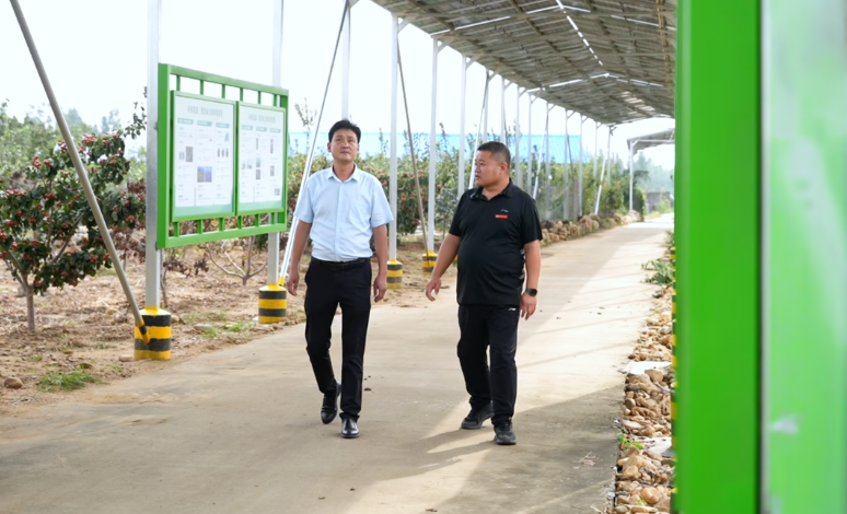 从审计账本到乡村田野，史秀超变身“乡村振兴领路人”
