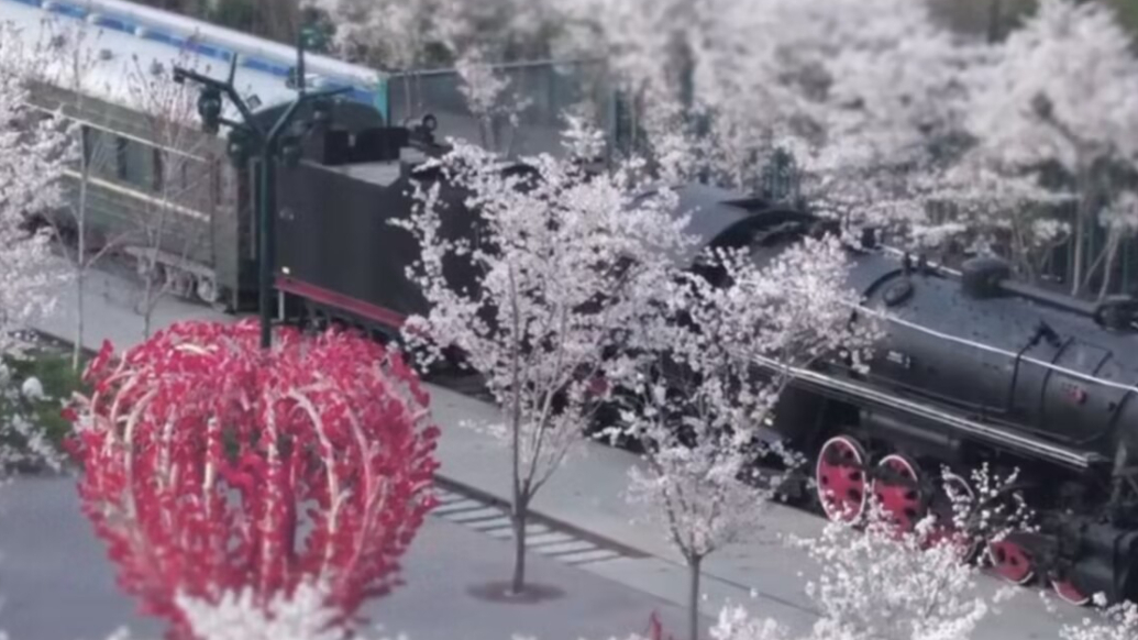 从一片荒芜到家乡的文化新地标，这里让乡村青年在家门口实现梦想