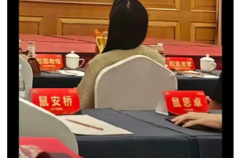 可爱还是无奈？别让“鼠某某”文化只是表面热闹