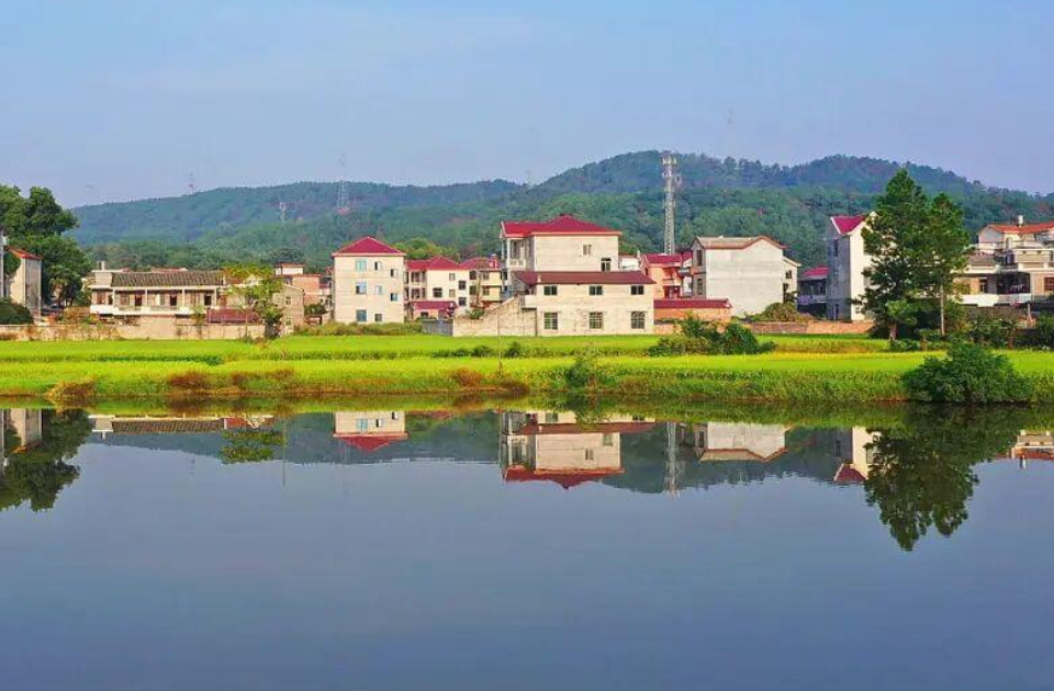 “片区”何以成山东乡村振兴的“关键词”