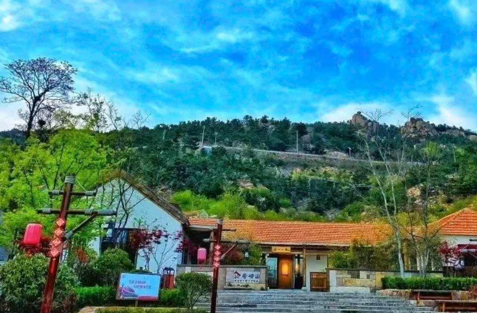 山东破题片区化：乡村“手拉手” 共富路“步步宽”