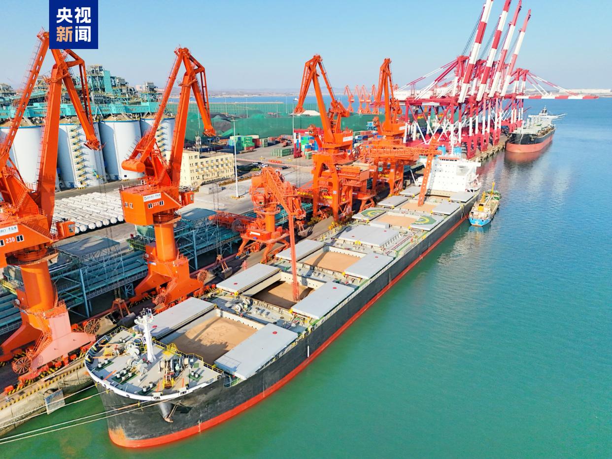 21小时完成！青岛港刷新粮食码头行业接卸纪录