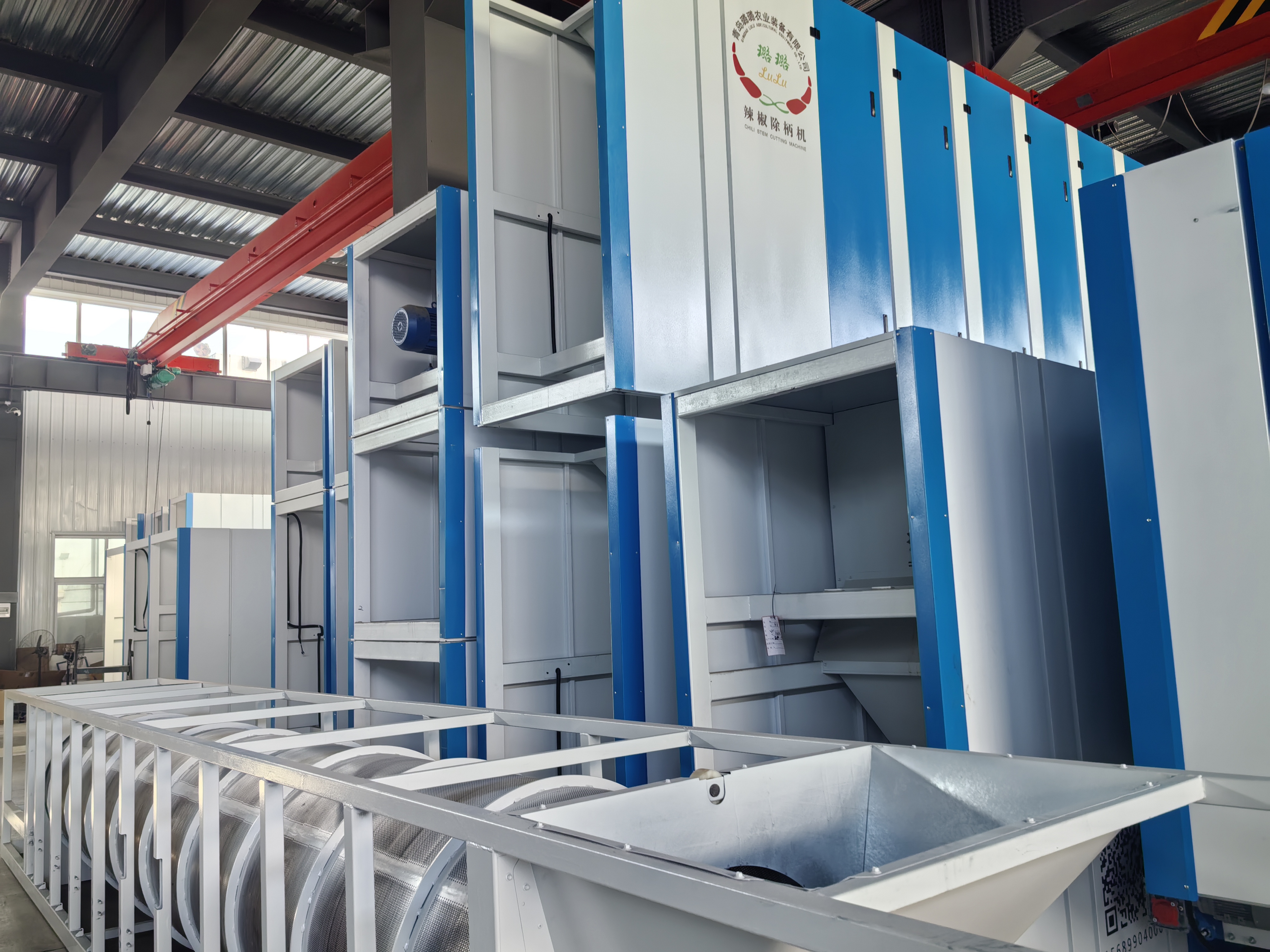 云话山东|拿下全球95%市场！他的发明叫响“世界辣椒看胶州”