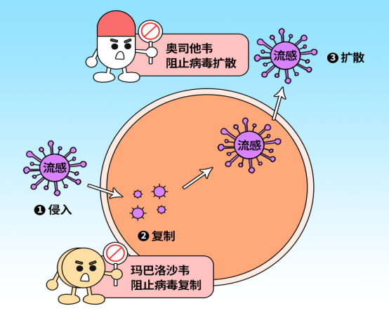 妇幼科普|守护“慢病人群”过冬：老年朋友必看的流感预防攻略