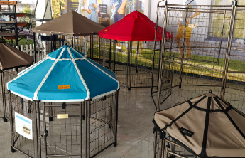 云话山东|“日照造”小鸡舍如何拿下美国市场半壁江山？