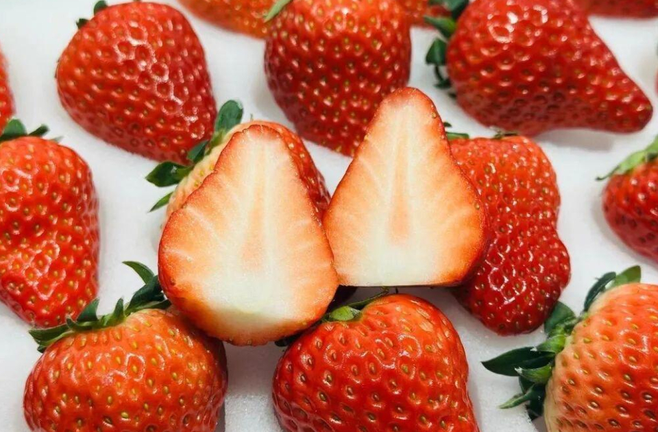 一周农讯速览｜莒南县道口草莓抢“鲜”上市，山东公布首批农作物种质资源共享目录