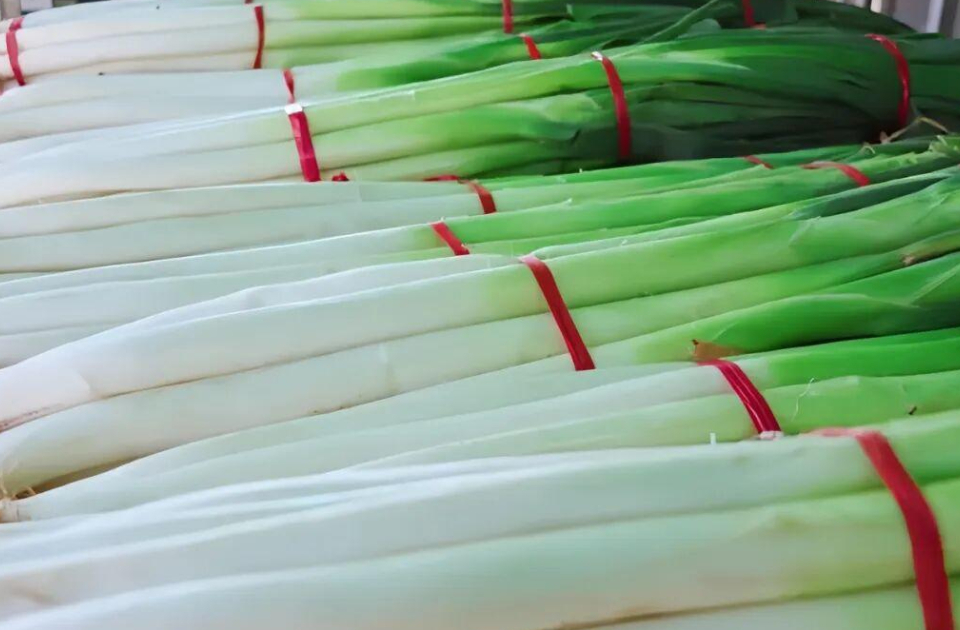 章丘大葱上新｜葱香漫齐鲁，烟火入寻常