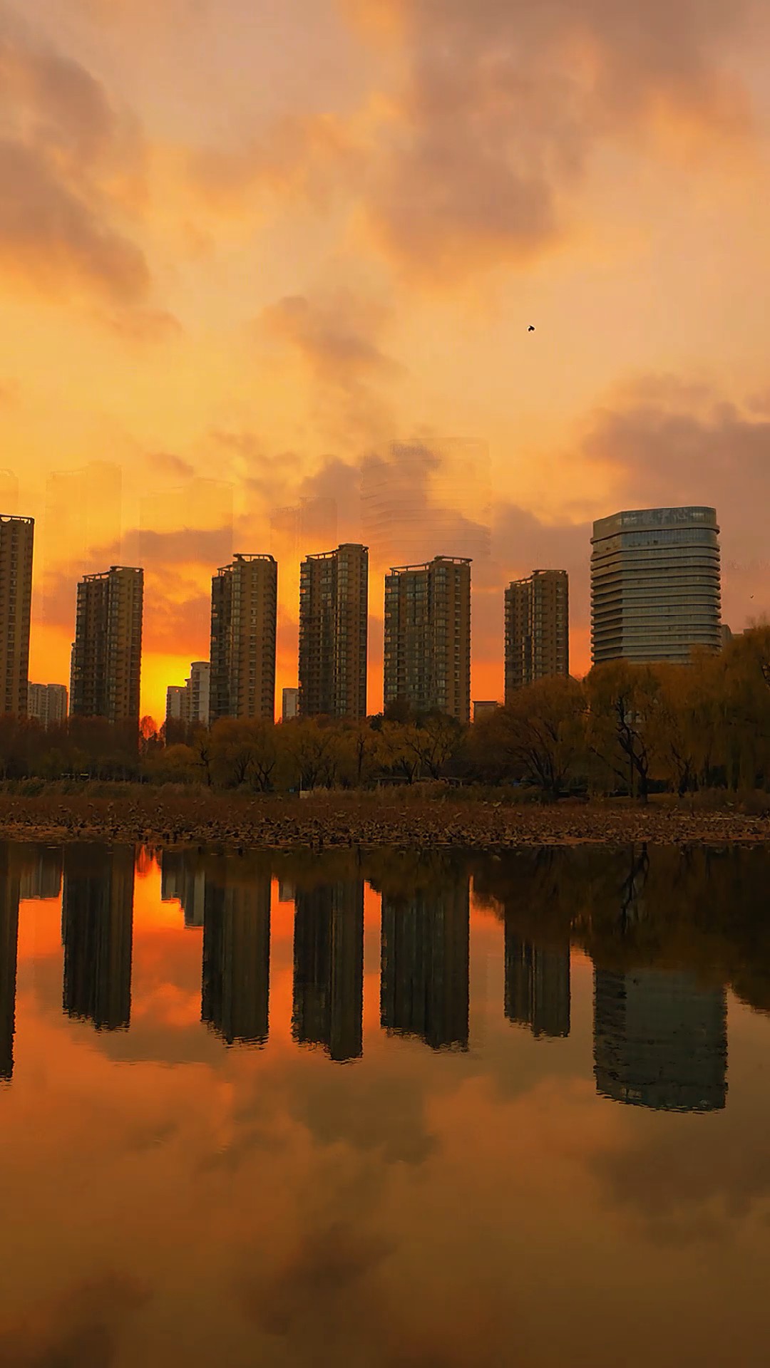 夕阳下的五洲湖