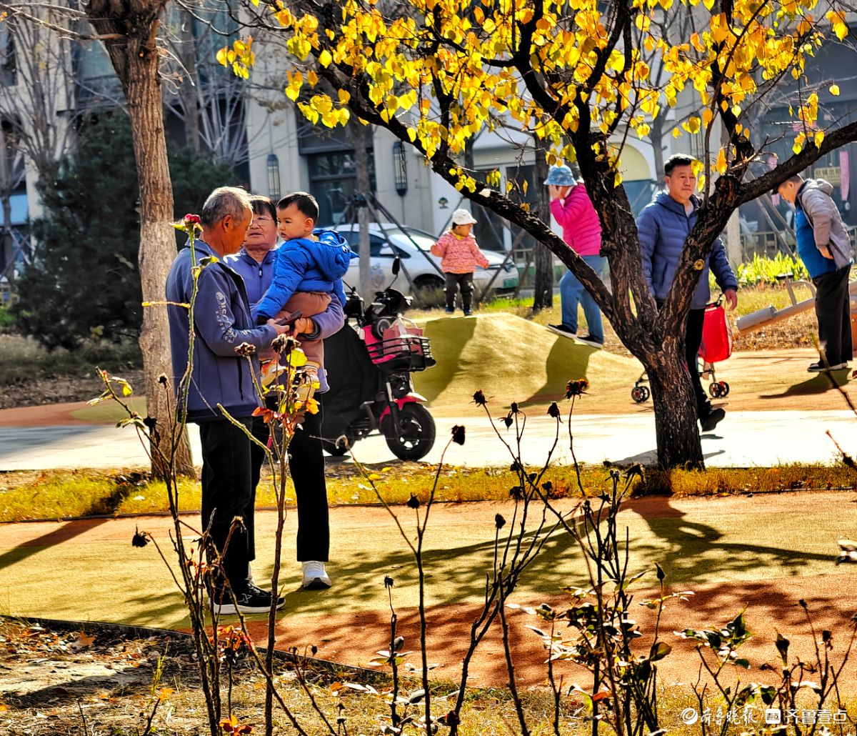 冬日阳光下遛娃