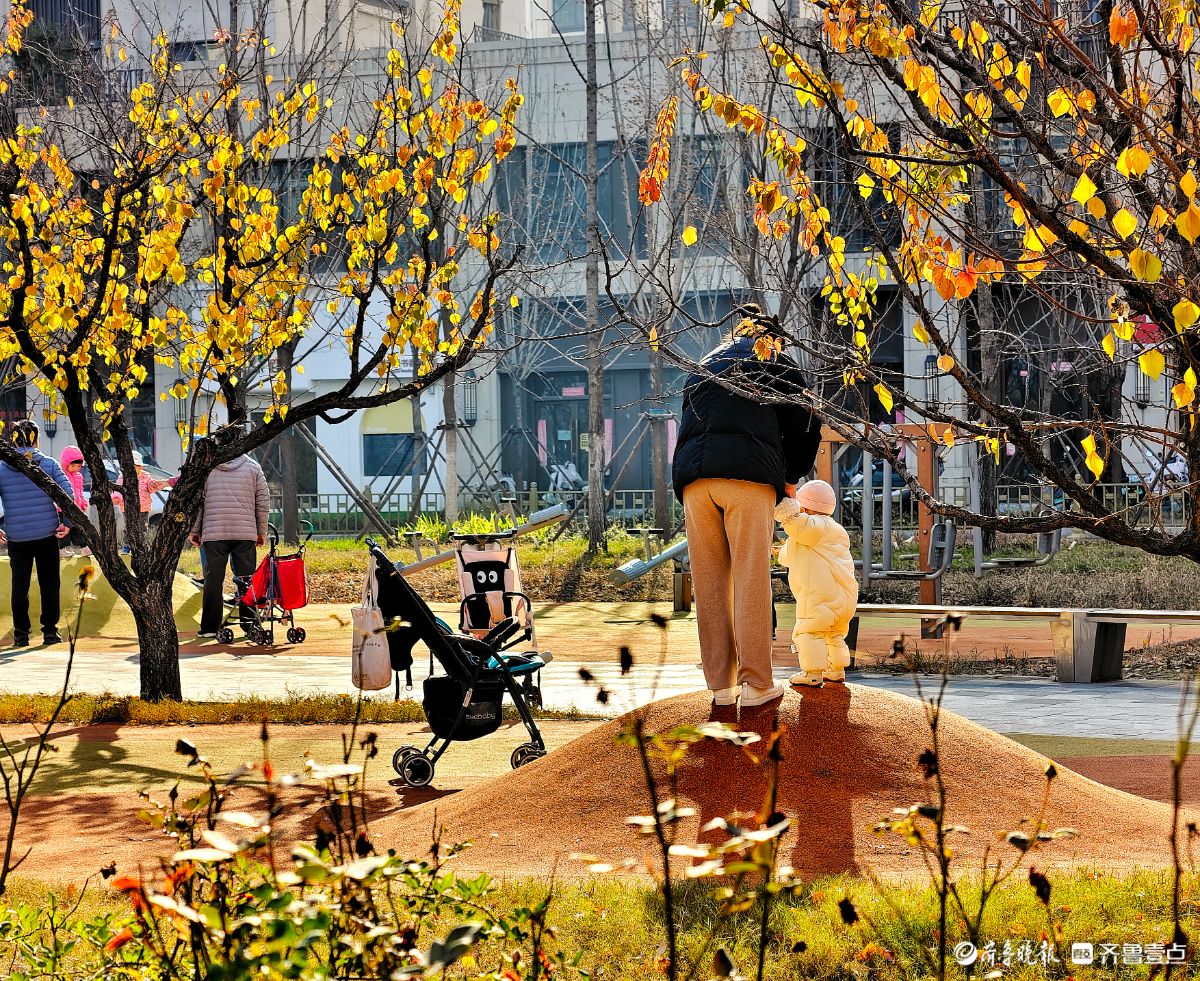 冬日阳光下遛娃
