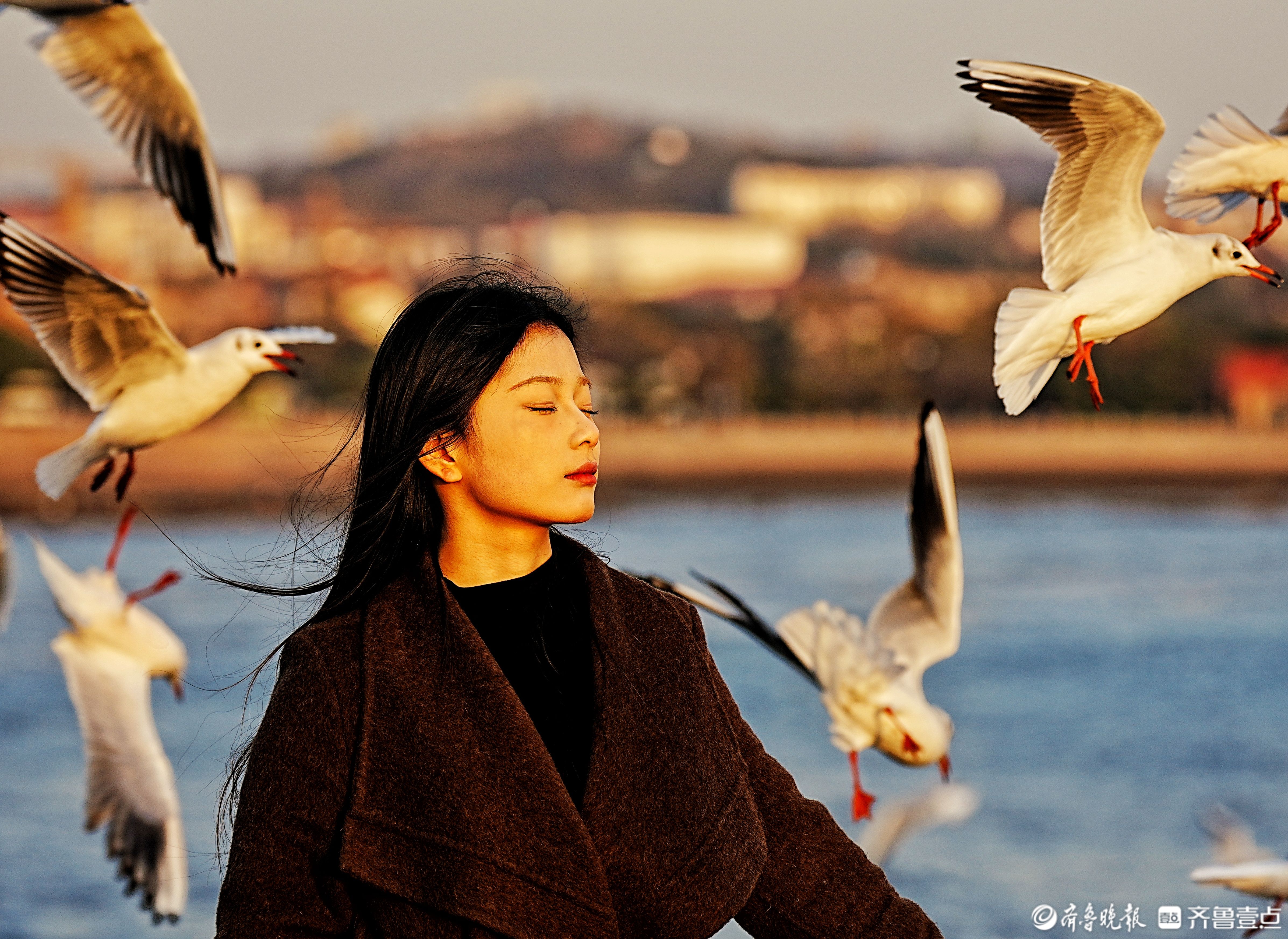青岛栈桥，小姑娘被群“鸥”