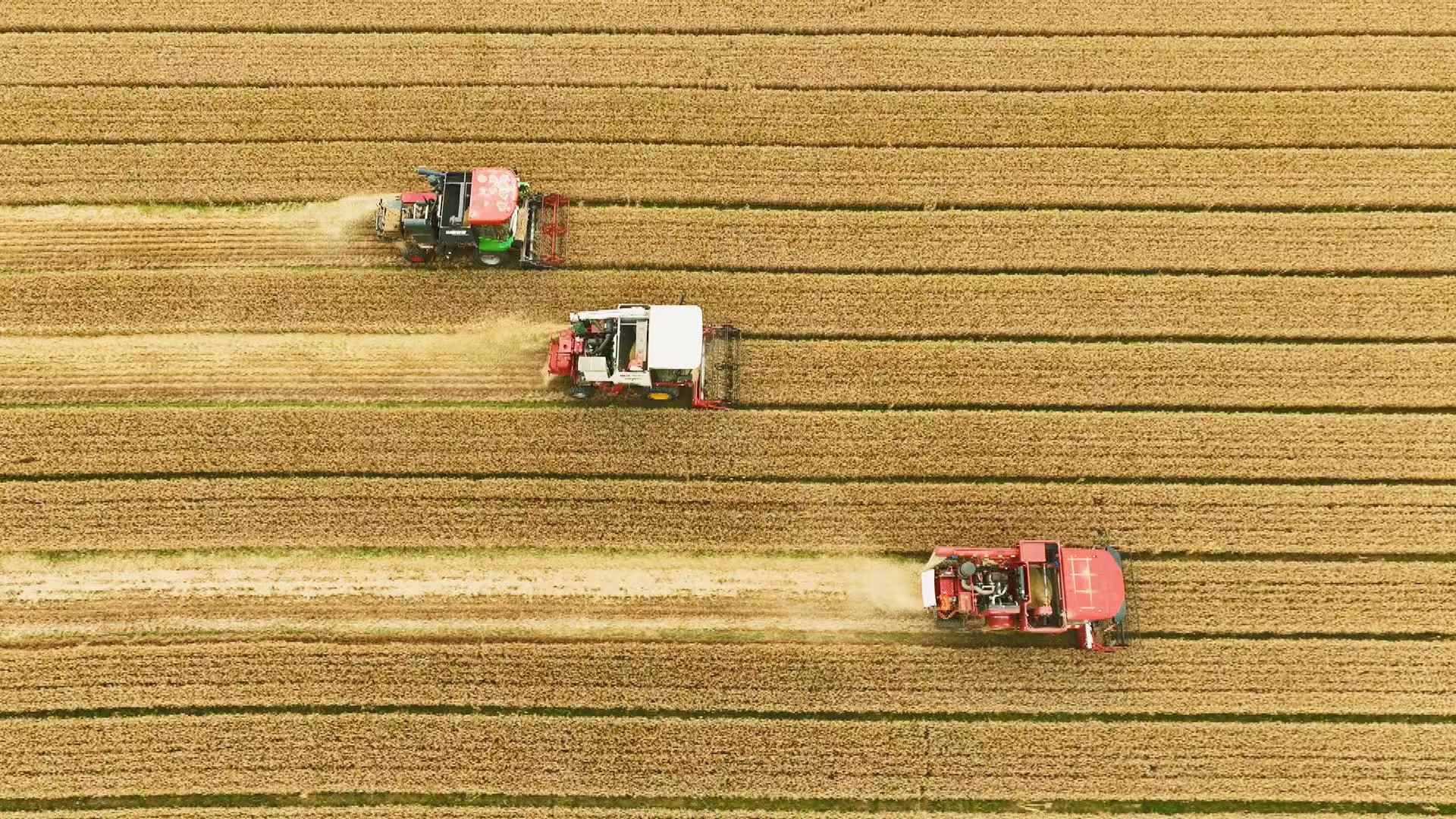 总产值740亿，收入增势稳，泰安农业农村发展“十四五”成效斐然