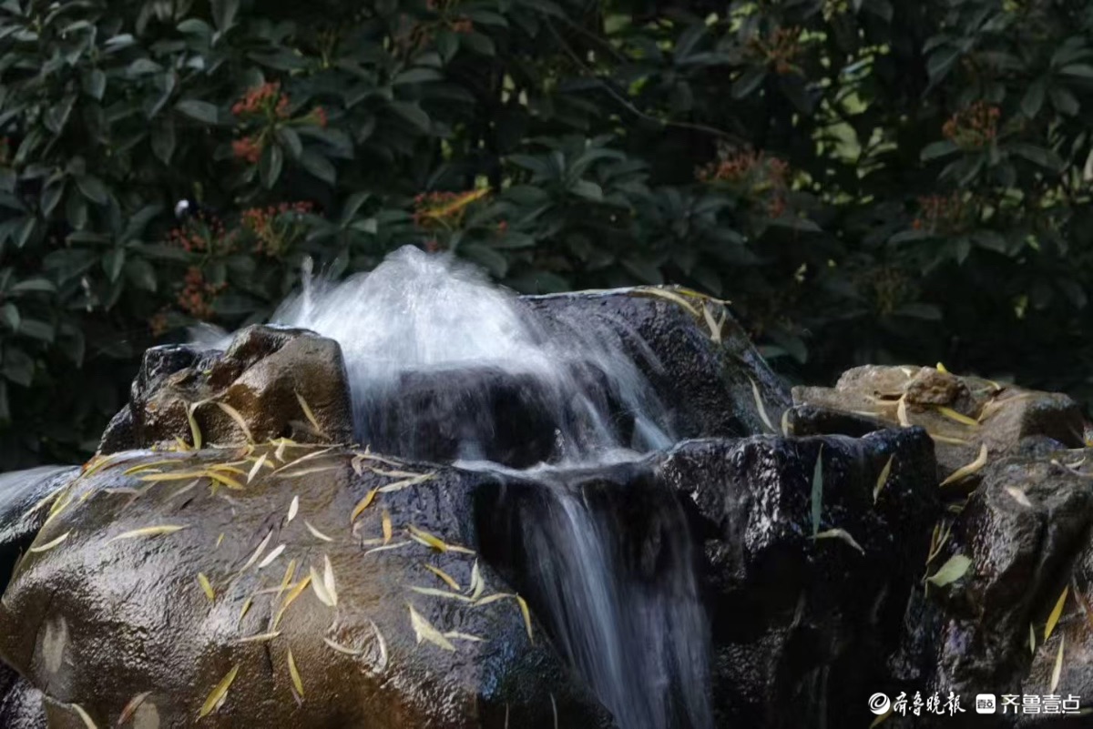  初冬月牙泉撒欢