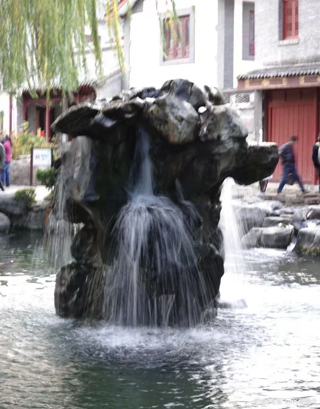  初冬月牙泉撒欢