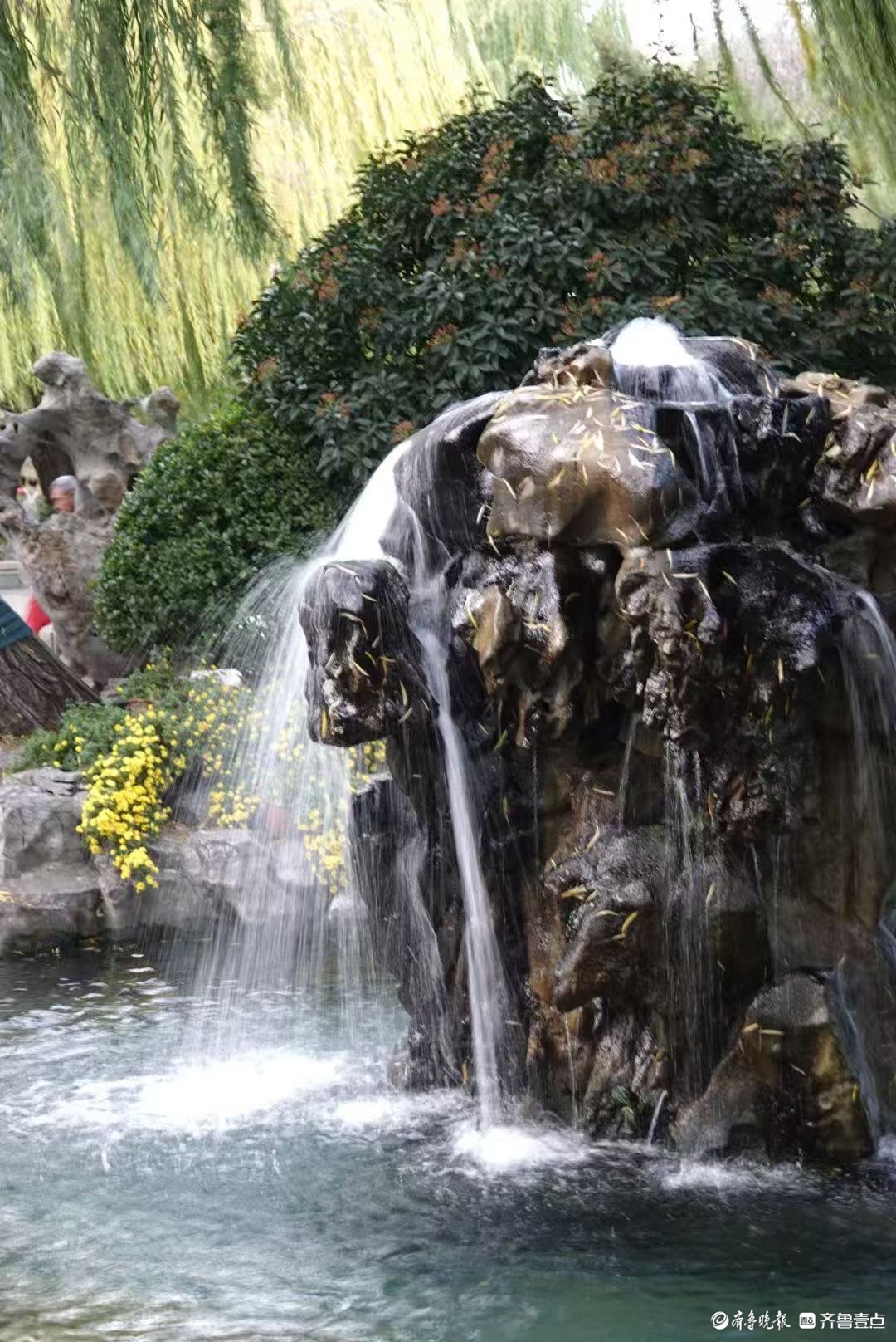  初冬月牙泉撒欢