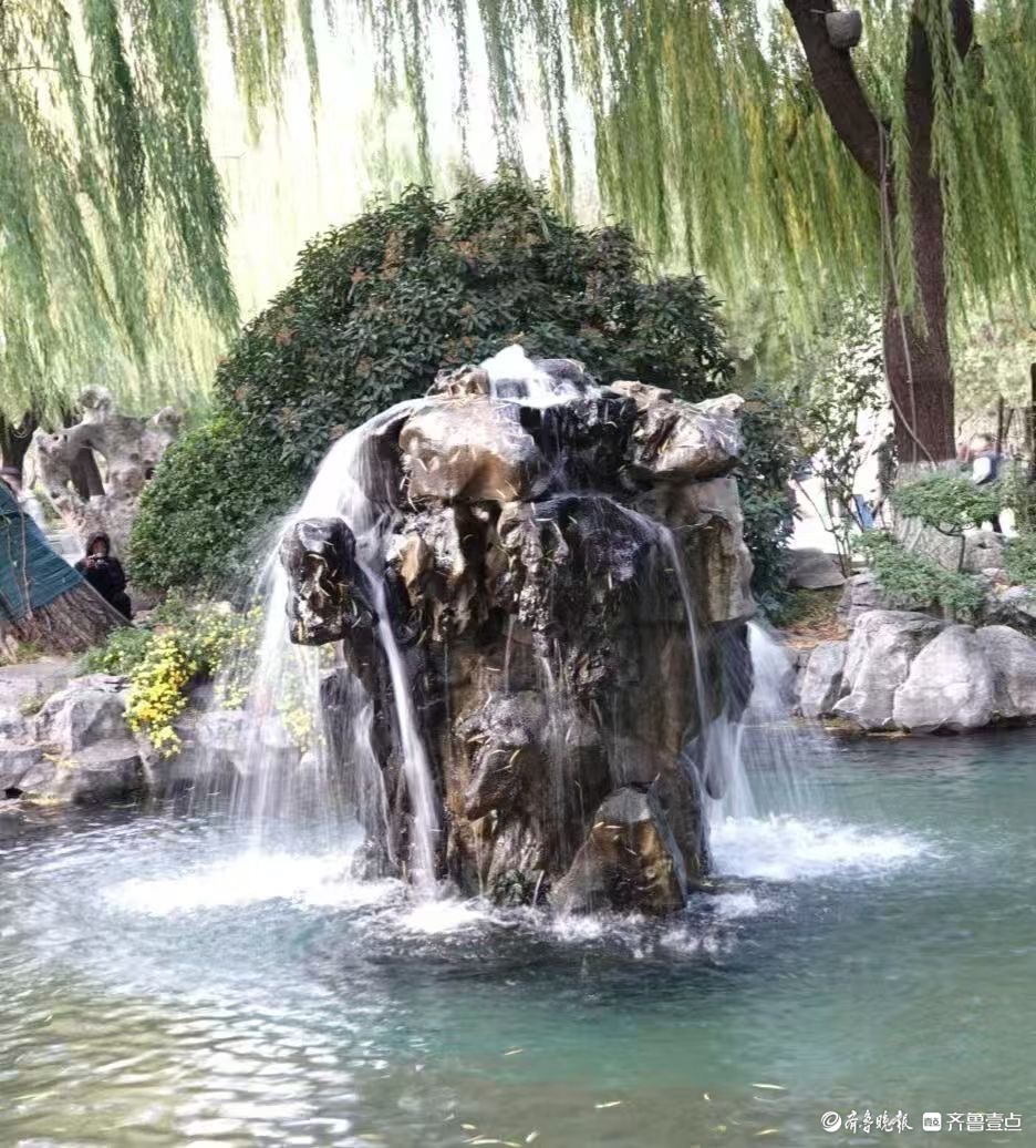  初冬月牙泉撒欢