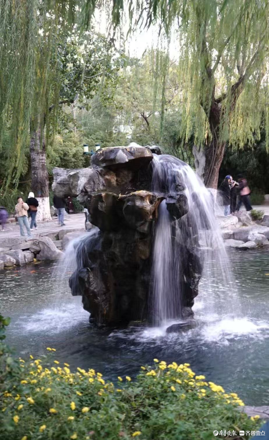  初冬月牙泉撒欢