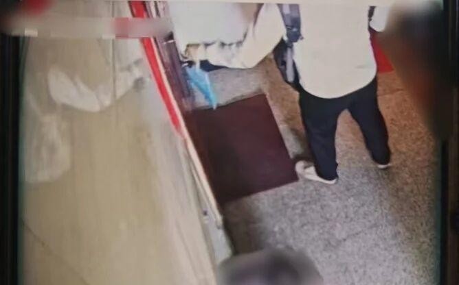 散发“盒马试吃卡”非法获利11余万元，博山警方抓获7人团伙