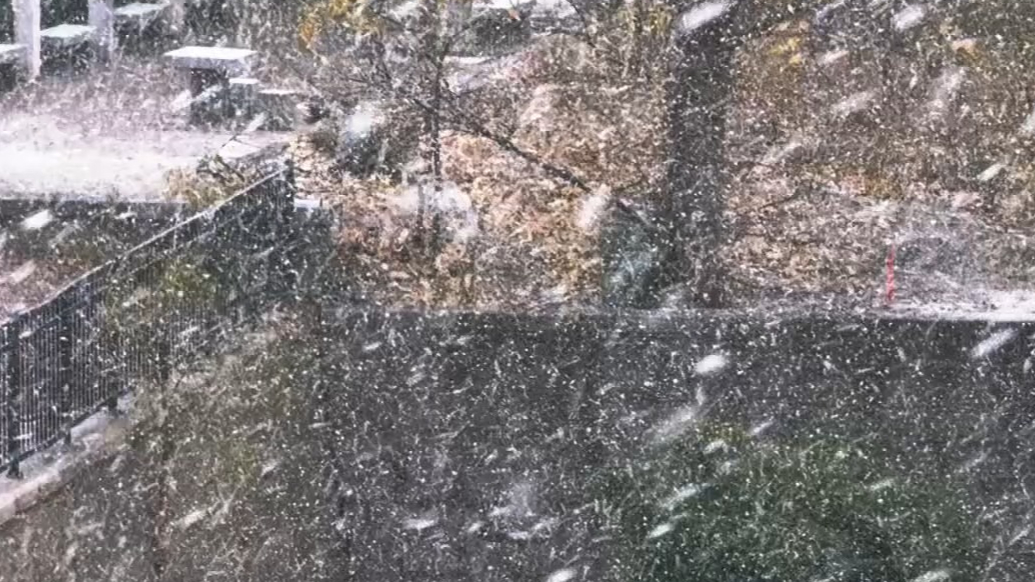 果然视频 |“雪窝”烟台找到感觉了！雪一下就是大片开场