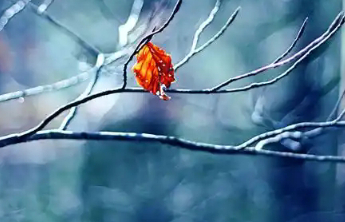 寒潮来袭，不只是温度降低，这几种病尤其要小心预防