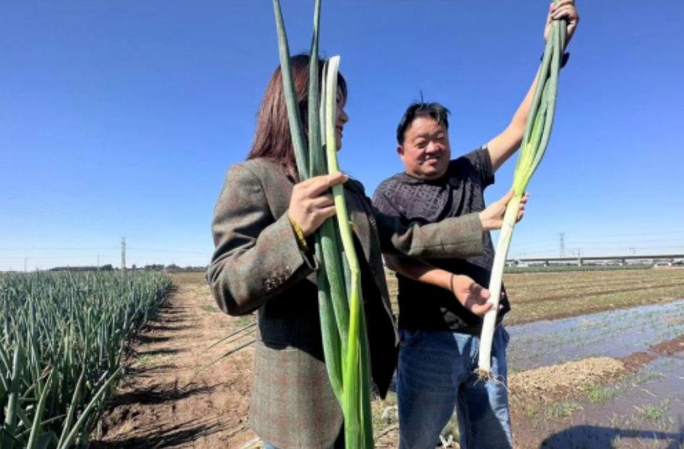 章丘大葱破圈记：一根大葱如何“长”出35亿元全产业链？