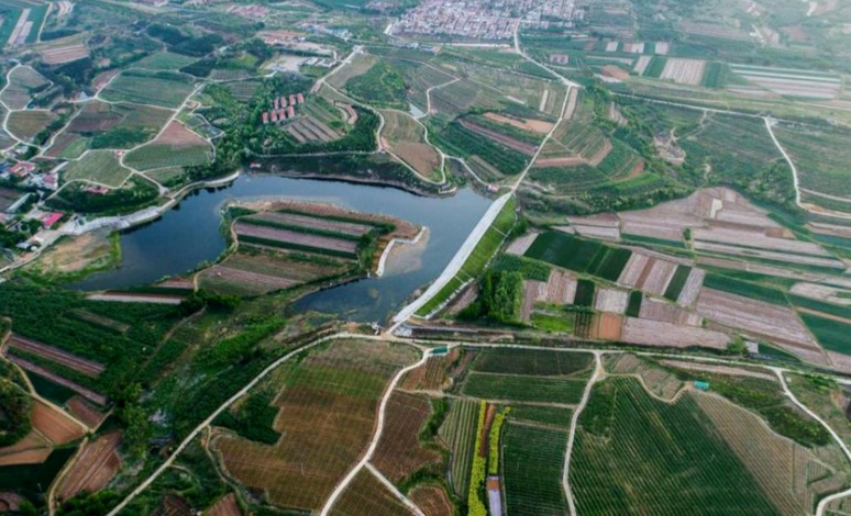 “片区化”点亮乡村振兴，山东招远大户庄园示范区的“共富密码”