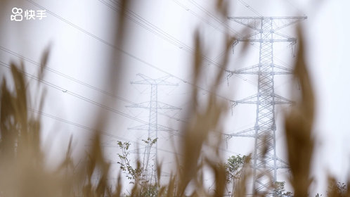 网络纪录片《种完麦子我就往南走》预告片