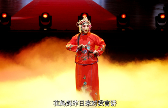 向阳而生艺彩绽放|豫剧《梵王宫》选段《花妈妈昨日来对我言讲》