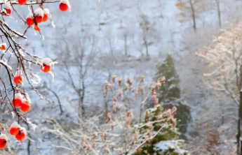 寒潮来袭如何科学防寒？这份健康过冬小贴士请收好