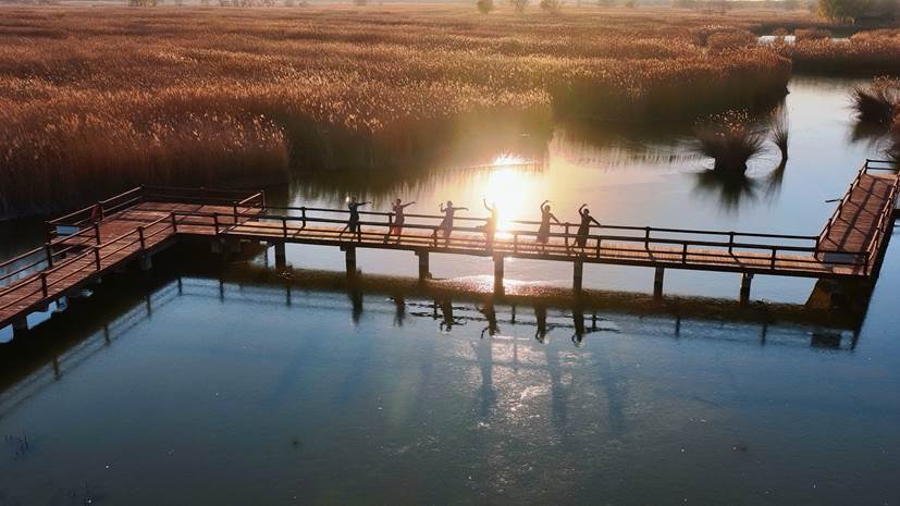 追光芦苇间，听湖问新声！在马踏湖奏响一曲动人的冬之诗篇