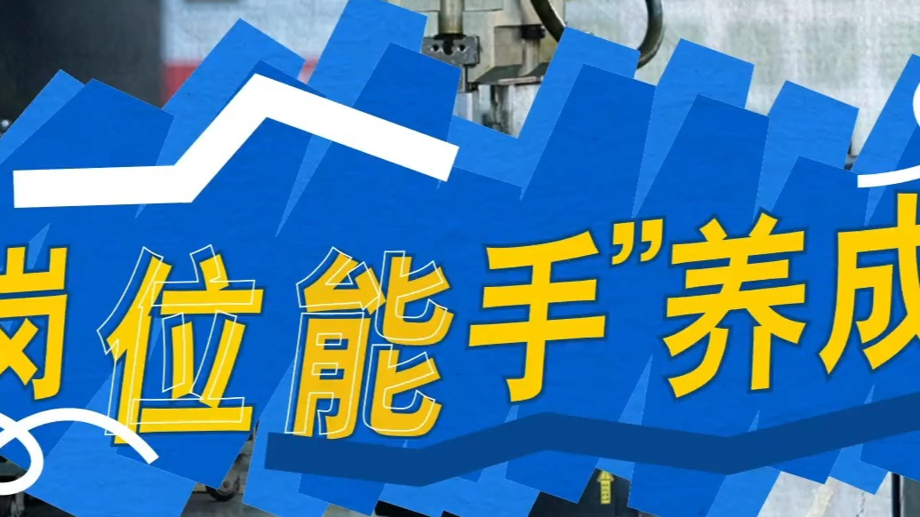“岗位能手”养成记