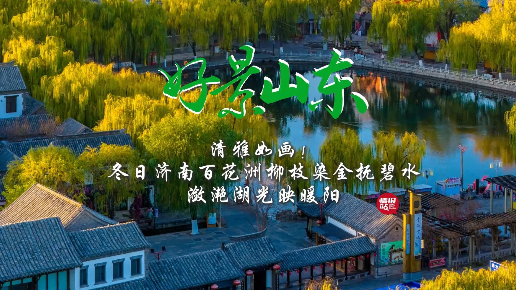 果然视频·好景山东|冬日济南百花洲清雅如画，柳枝染金抚碧水！