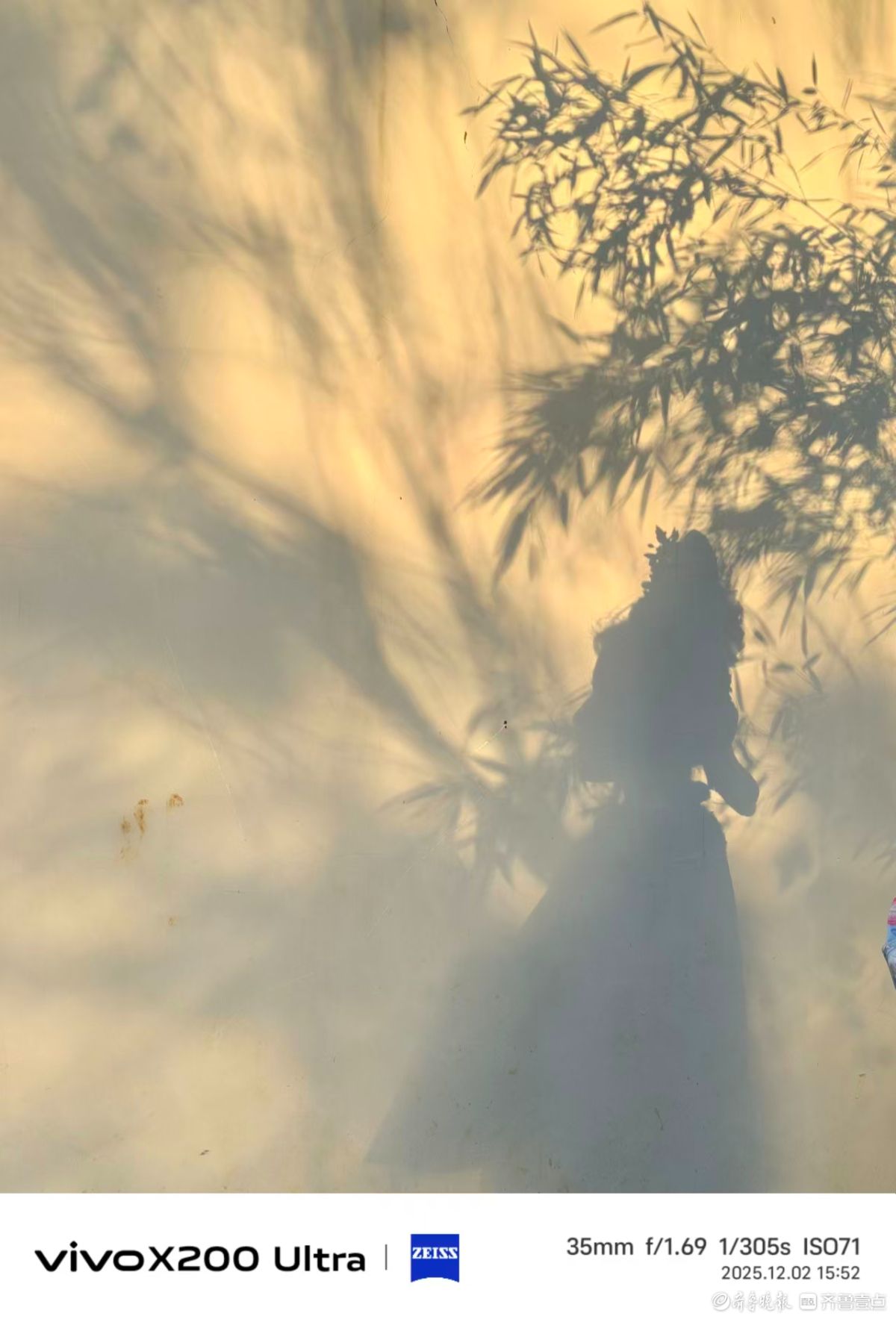 大明湖景区的竹影清风