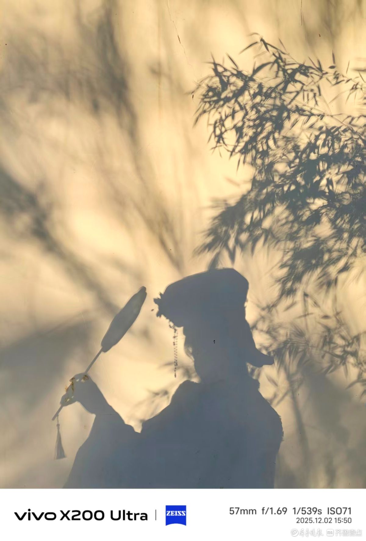 大明湖景区的竹影清风