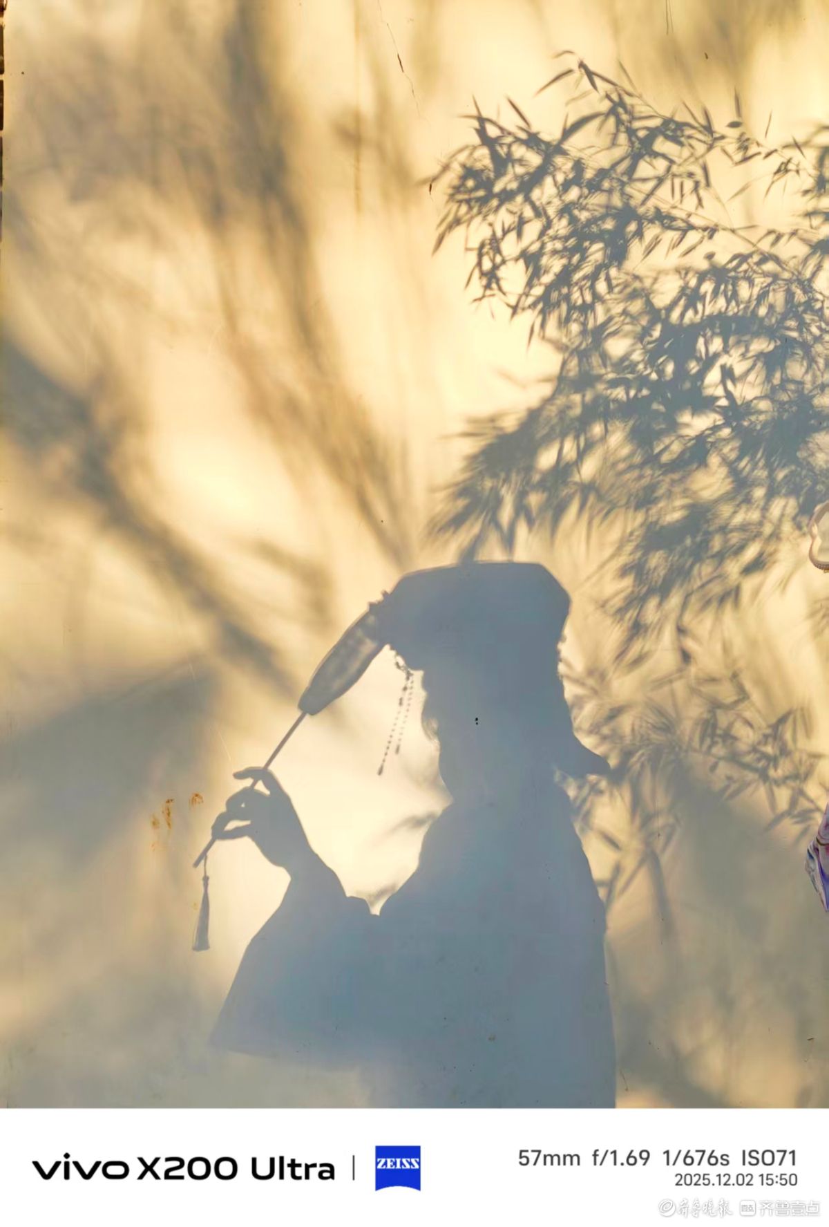 大明湖景区的竹影清风