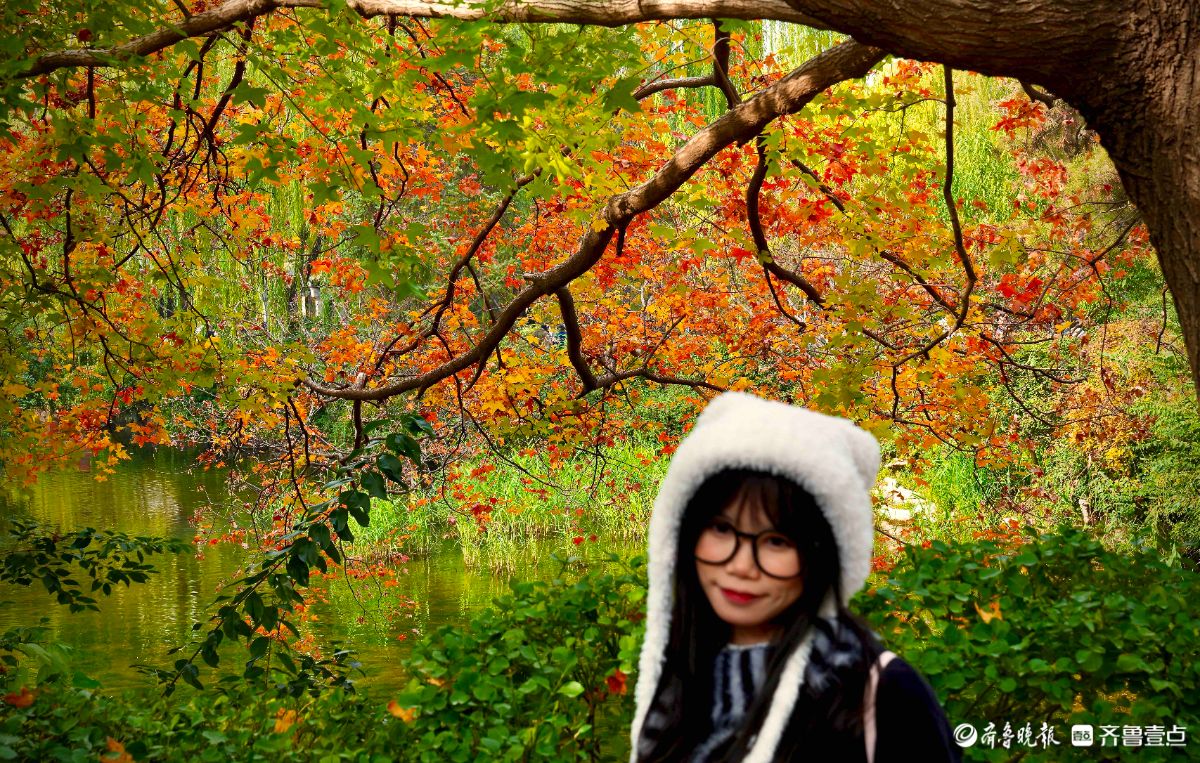 冬季的趵突泉景区，有一处红叶打卡地