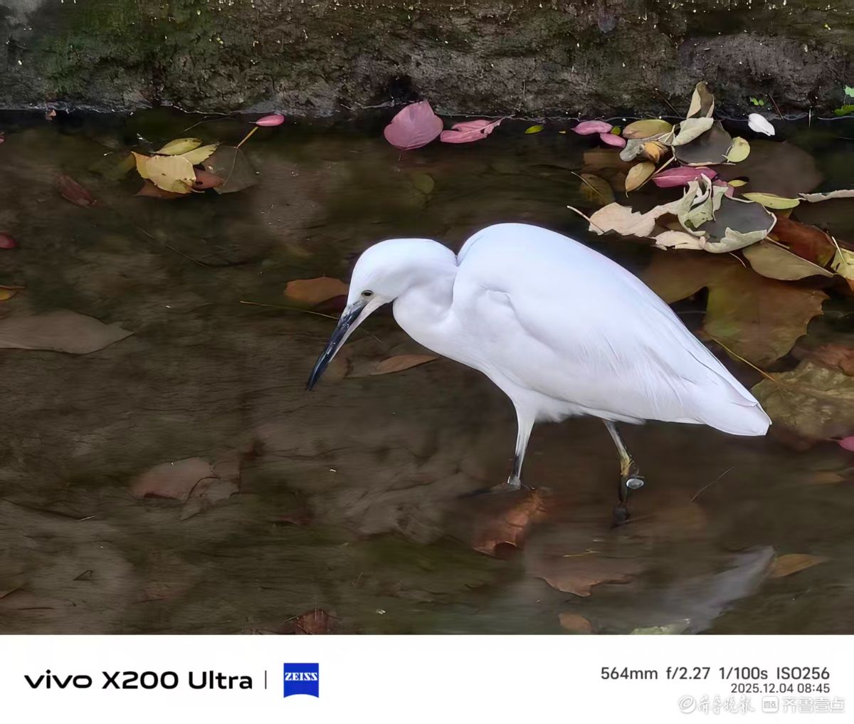 冬风送暖，我在记录