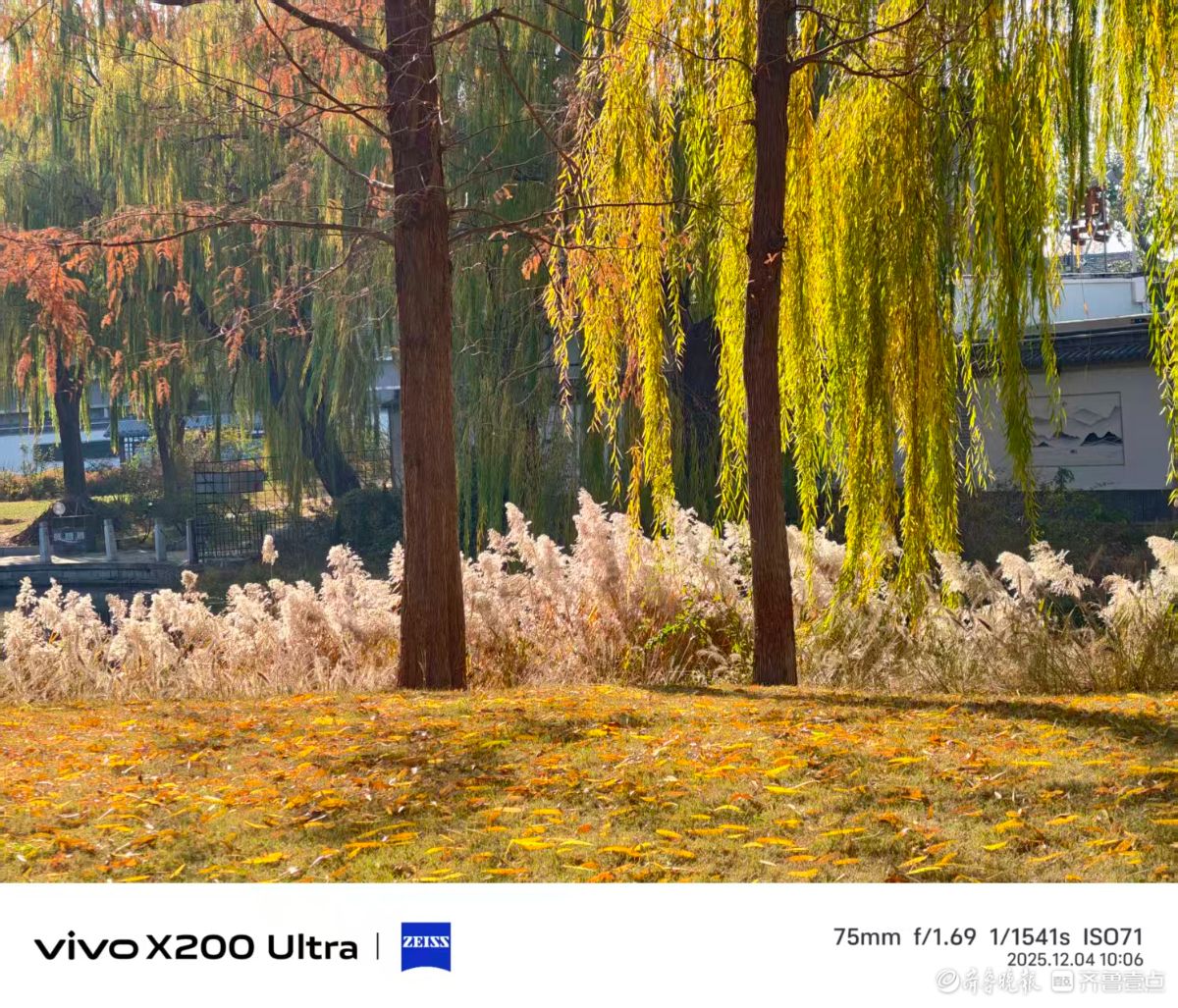 冬风送暖，我在记录