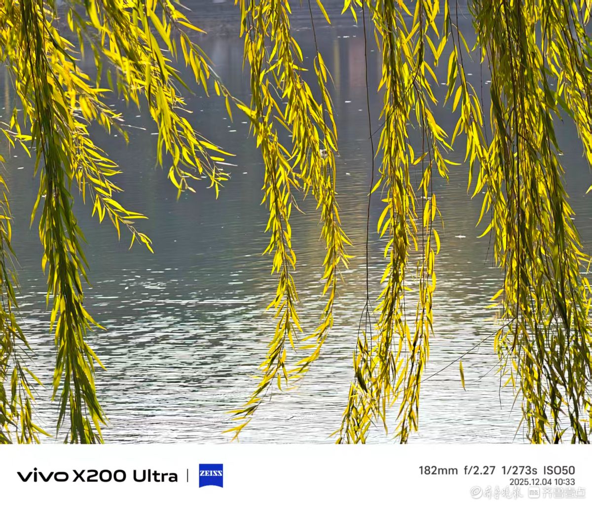 冬风送暖，我在记录