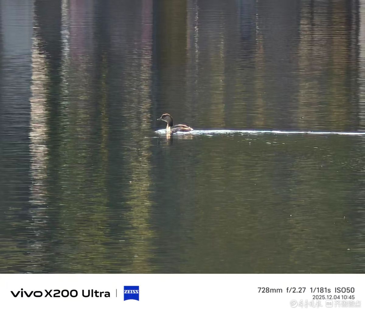 冬风送暖，我在记录